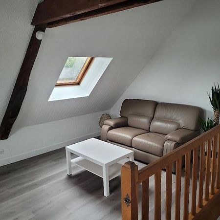 Appartement Avec Vue Sur Loire Blois Kültér fotó